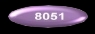 8051��Ǫ����y
